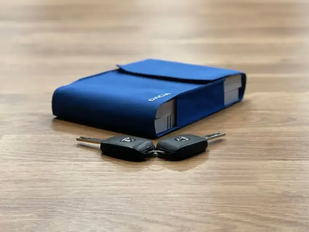 Dacia Spring Electric 45 Comfort 14